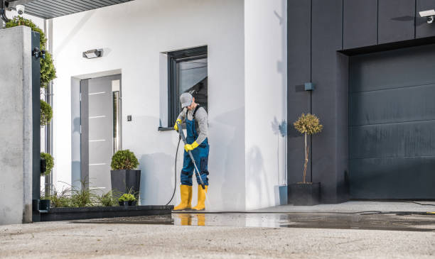 Best Rust Removal  in Trempealeau, WI
